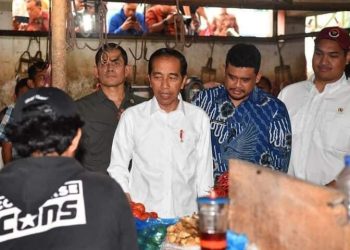 Presiden RI Cek Kondisi dan Harga Sejumlah Komoditas Pangan