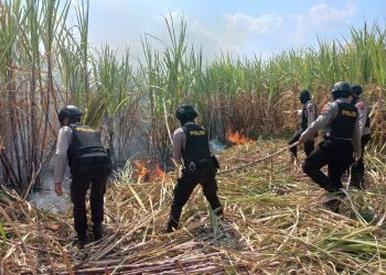 Kebakaran Lahan Tebu, Polisi Turun Ke Lokasi