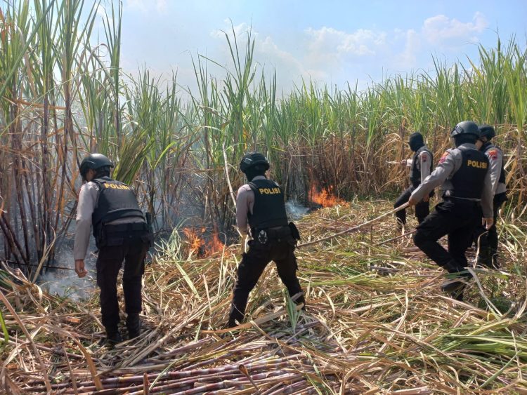 Kebakaran Lahan Tebu, Polisi Turun Ke Lokasi