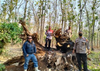 Gelar Patroli, Kapolsek Tlogowunggu Gandeng Waka ADM Pati Untuk Antisipasi Kebakaran Hutan