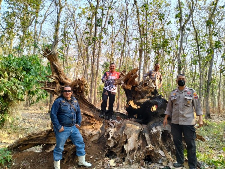 Gelar Patroli, Kapolsek Tlogowunggu Gandeng Waka ADM Pati Untuk Antisipasi Kebakaran Hutan