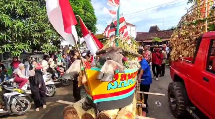 Tradisi Desa Sambiroto ” Sesaji Kepala Kerbau dan Kambing”
