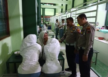 WhatsApp Image 2024 05 06 at 11.44.38