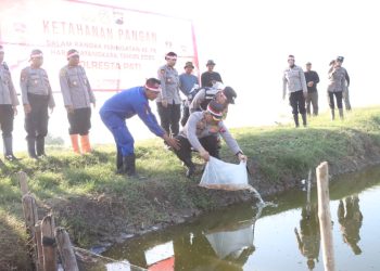 Ketahanan Pangan, Kapolresta Pati Tebar 10.000 Ekor Bibit Ikan Nila