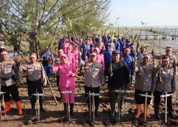 Cegah Bencana !! Kapolresta Pati Tanam 1000 Pohon Mangrove dan Cemara Laut