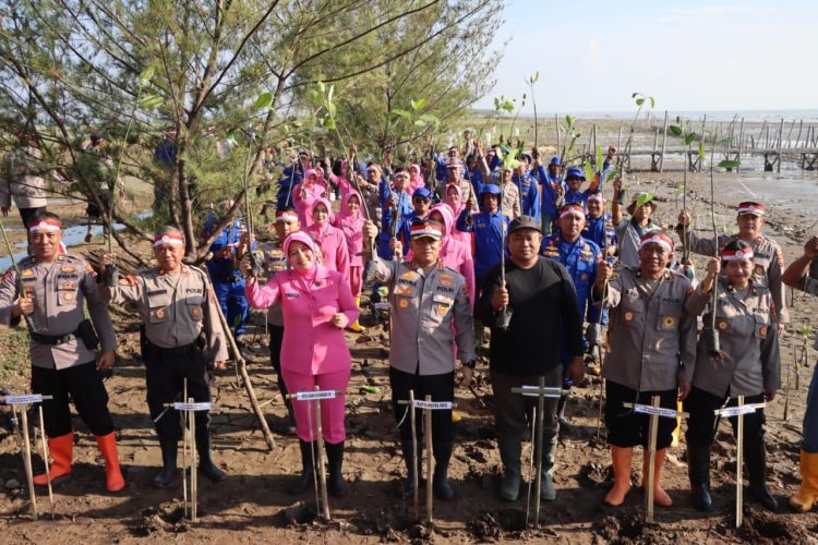 Cegah Bencana !! Kapolresta Pati Tanam 1000 Pohon Mangrove dan Cemara Laut