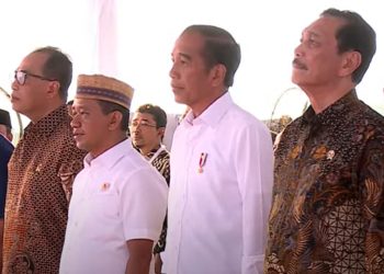 Presiden Jokowi Resmikan Operasional Kawasan Industri Terpadu Batang