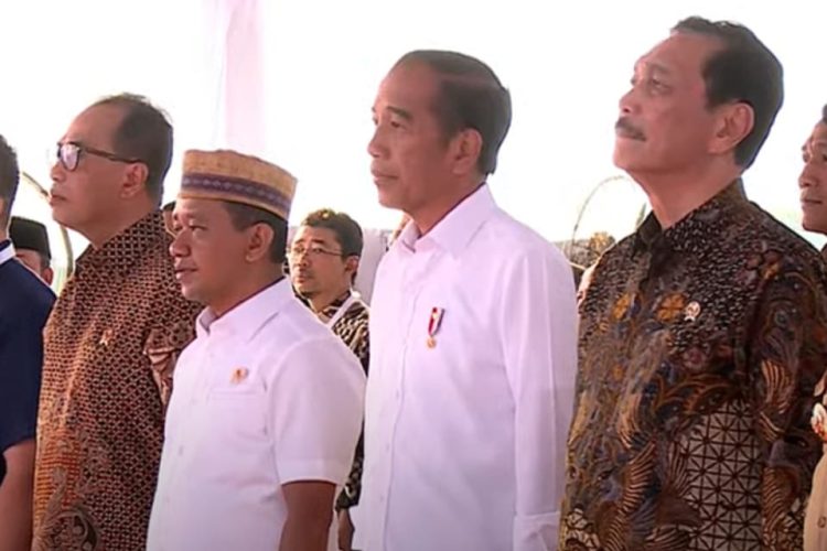 Presiden Jokowi Resmikan Operasional Kawasan Industri Terpadu Batang