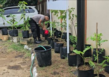 Polresta Pati Gelar Aksi Tanam Pohon