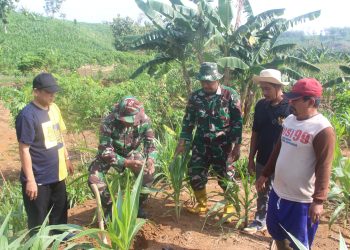 Kodim 0718/Pati Dukung Program Restorasi Lahan Lewat Penghijauan