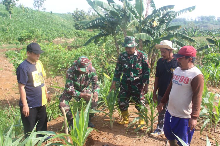 Kodim 0718/Pati Dukung Program Restorasi Lahan Lewat Penghijauan