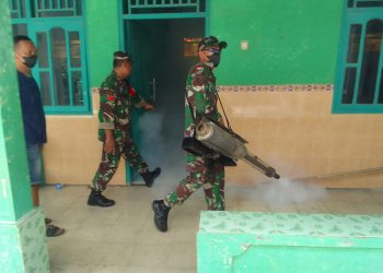 Upaya Bersama Warga dan TNI Tangkal Demam Berdarah