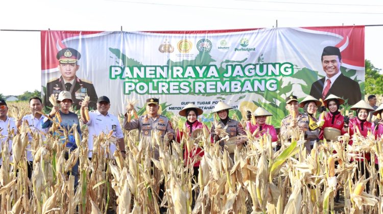 Dukung Swasembada Pangan, Polres Rembang Panen Jagung Hibrida