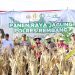 Dukung Swasembada Pangan, Polres Rembang Panen Jagung Hibrida