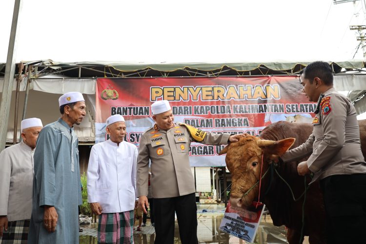 Simbol Penghormatan, Kapolda Kalsel Berikan 5 Ekor Sapi dan Perketat Penjagaan