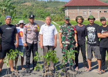 Dukung Wisata Desa, H. Hardi Tanam Tabebuya di Jalur Menuju Gua Pancur
