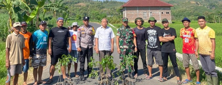 Dukung Wisata Desa, H. Hardi Tanam Tabebuya di Jalur Menuju Gua Pancur