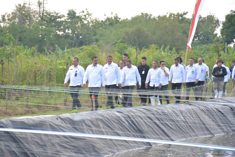 Kolaborasi Lintas UPT Warnai Panen Raya