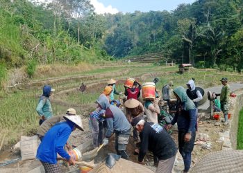 TMMD Sengkuyung Tahap III di Desa Sentul, Masuki Hari Kelima