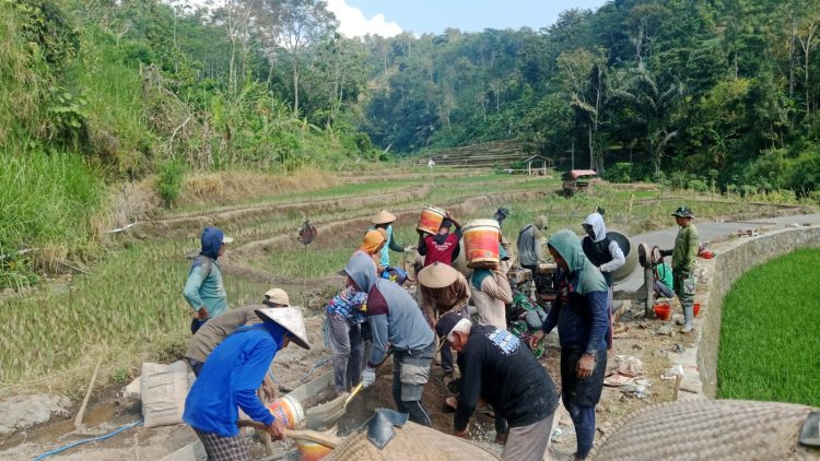 TMMD Sengkuyung Tahap III di Desa Sentul, Masuki Hari Kelima