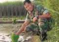 Kodim Pati Kolaborasi Kembangkan Pertanian Ramah Lingkungan