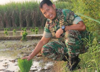 Kodim Pati Kolaborasi Kembangkan Pertanian Ramah Lingkungan
