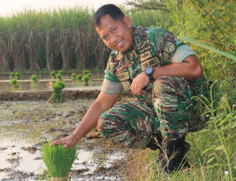 Kodim Pati Kolaborasi Kembangkan Pertanian Ramah Lingkungan