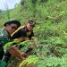 Cegah Bencana Alam, Kapolsek Kayen Gandeng TNI Hijaukan Alas Jurang Nganten