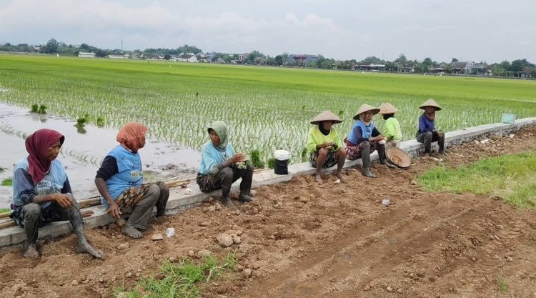 Komitmen Mutu Proyek Talud Banprov Rp 200 Juta, Kritik Warga Ditindaklanjuti Cepat
