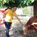 Warga Apresiasi Aksi Qurban Laskar Joyo Kusumo