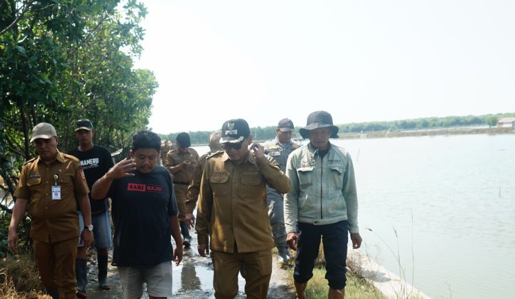 Petani Tambak Terdampak Rob, Plt Bupati dan Urip Cek Lokasi