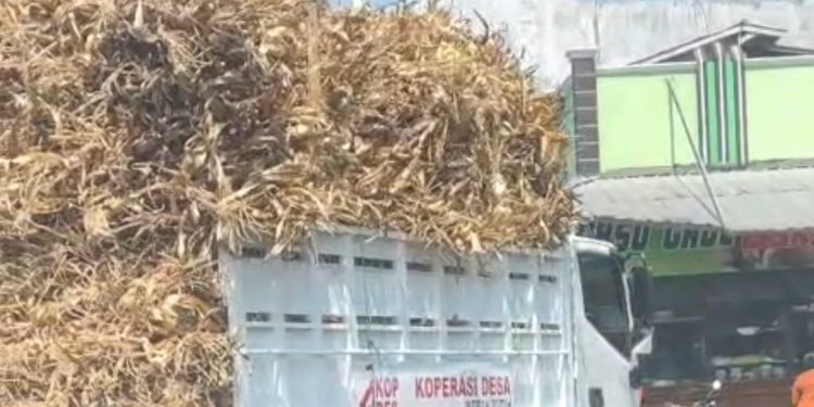 Viral di Medsos, Dugaan Penyalahgunaan Truk Bantuan Presiden RI Picu Reaksi Warga