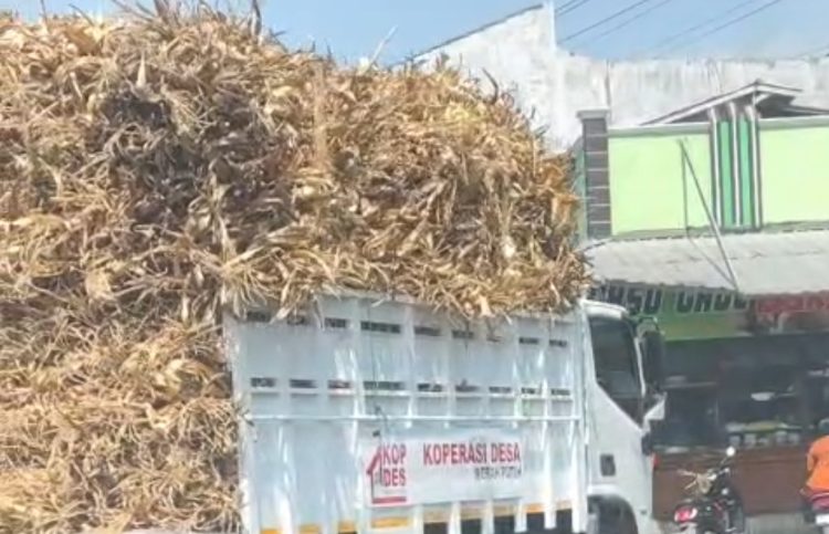 Viral di Medsos, Dugaan Penyalahgunaan Truk Bantuan Presiden RI Picu Reaksi Warga