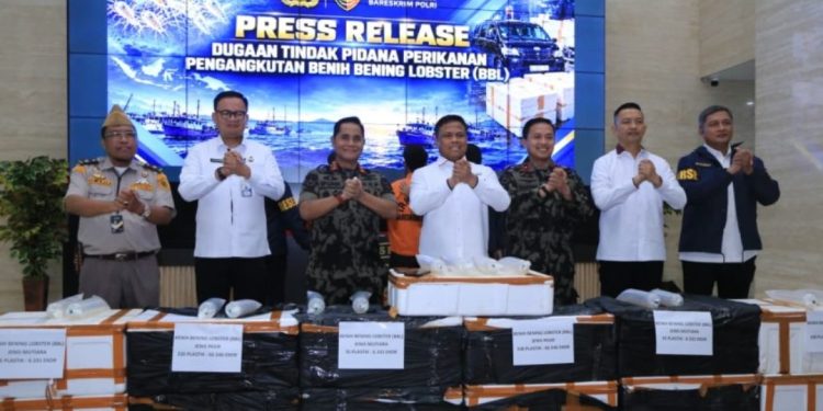 Pengiriman BBL Tanpa Dokumen, Dittipidter Bareskrim Amankan 13 Boks